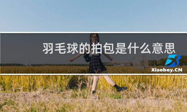羽毛球的拍包是什么意思图片