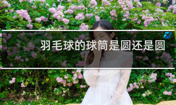 羽毛球的球筒是圆还是圆柱图片