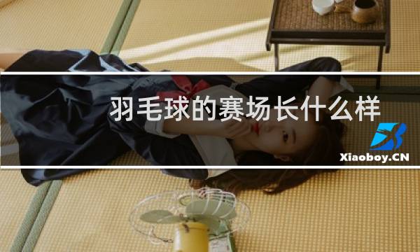羽毛球的赛场长什么样图片