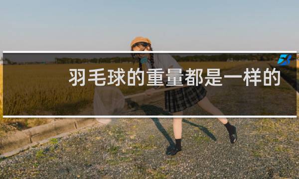 羽毛球的重量都是一样的吗图片