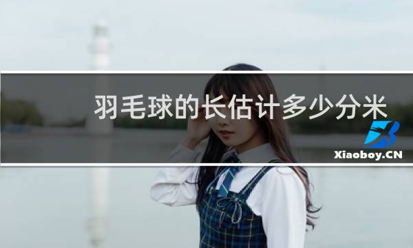 羽毛球的长估计多少分米图片