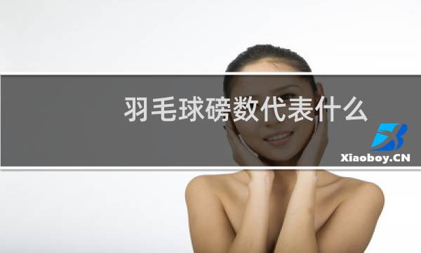 羽毛球磅数代表什么图片