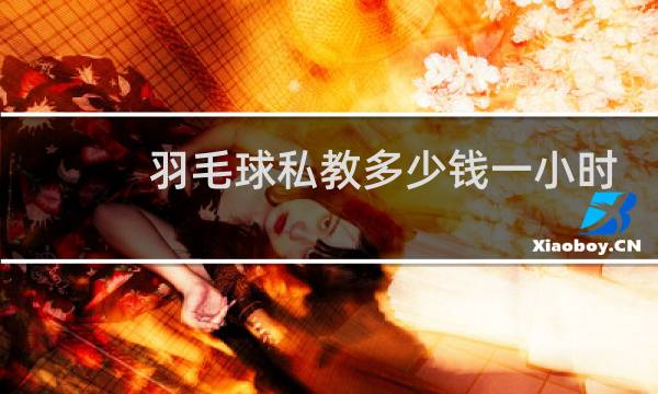 羽毛球私教多少钱一小时图片