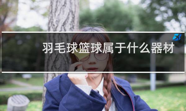 羽毛球篮球属于什么器材图片