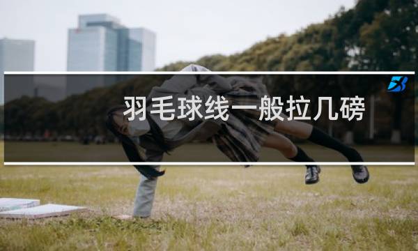 羽毛球线一般拉几磅图片