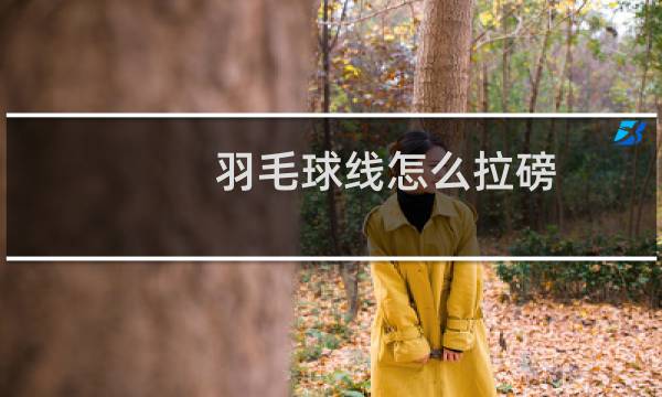 羽毛球线怎么拉磅图片