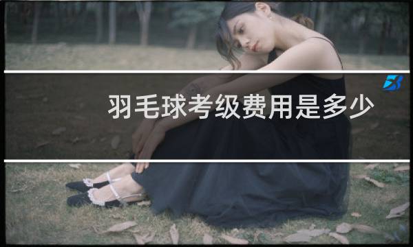 羽毛球考级费用是多少图片