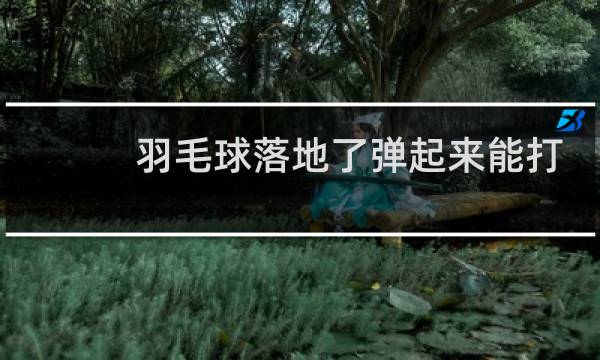羽毛球落地了弹起来能打吗图片