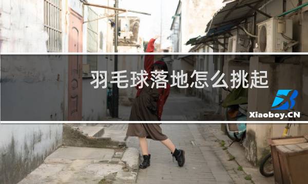 羽毛球落地怎么挑起图片