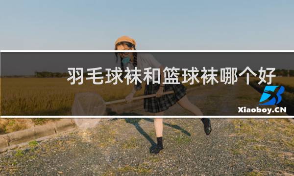 羽毛球袜和篮球袜哪个好图片
