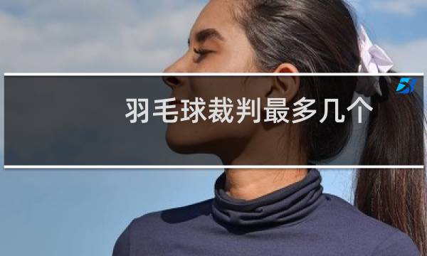 羽毛球裁判最多几个图片