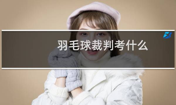 羽毛球裁判考什么图片