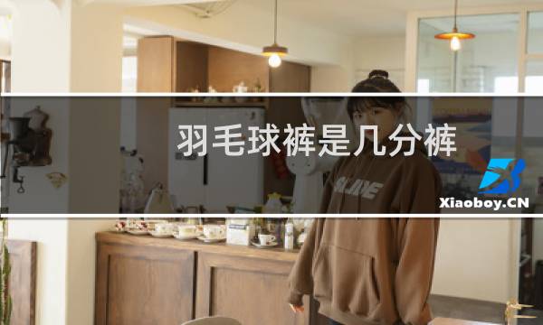 羽毛球裤是几分裤图片