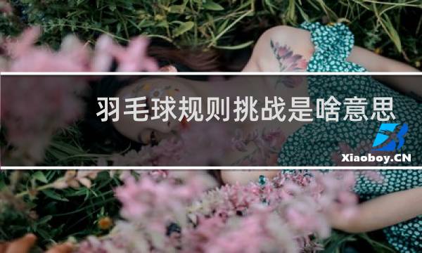 羽毛球规则挑战是啥意思图片