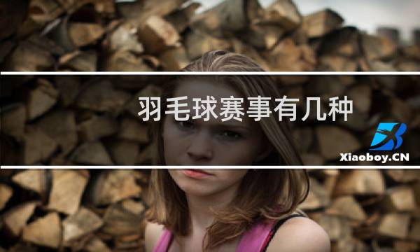 羽毛球赛事有几种图片