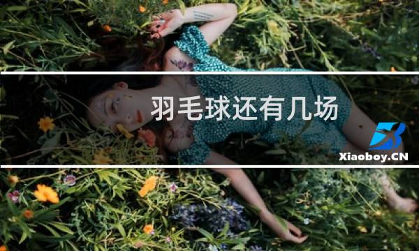 羽毛球还有几场图片