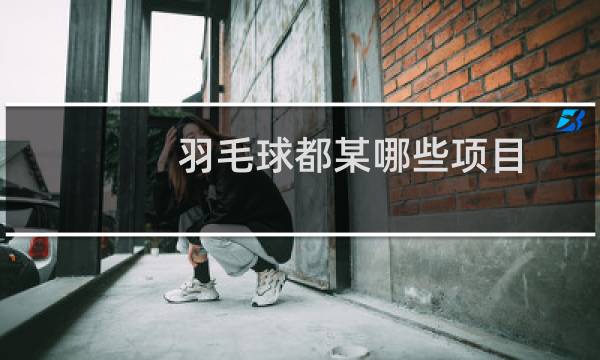 羽毛球都某哪些项目图片