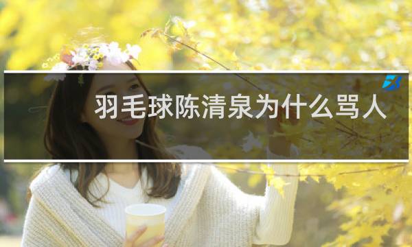 羽毛球陈清泉为什么骂人图片