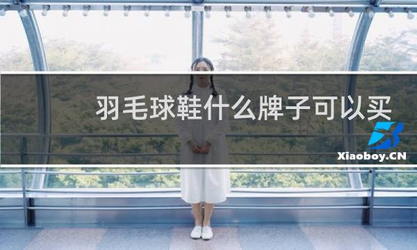 羽毛球鞋什么牌子可以买图片