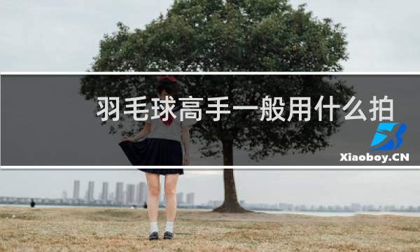 羽毛球高手一般用什么拍图片