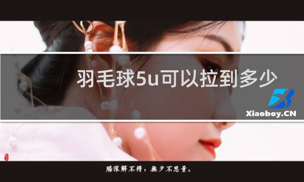 羽毛球5u可以拉到多少磅图片