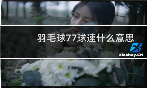 羽毛球77球速什么意思图片