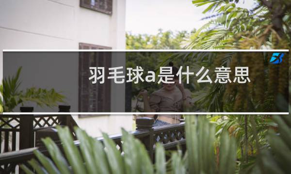 羽毛球a是什么意思图片
