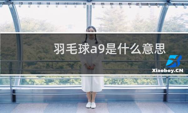 羽毛球a9是什么意思图片