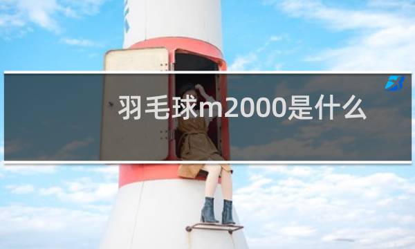 羽毛球m2000是什么意思图片