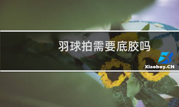 羽球拍需要底胶吗图片
