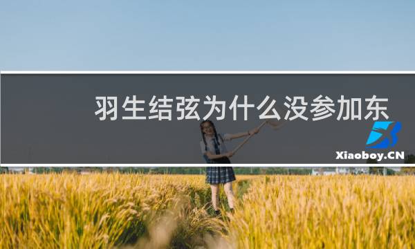 羽生结弦为什么没参加东京奥运会图片