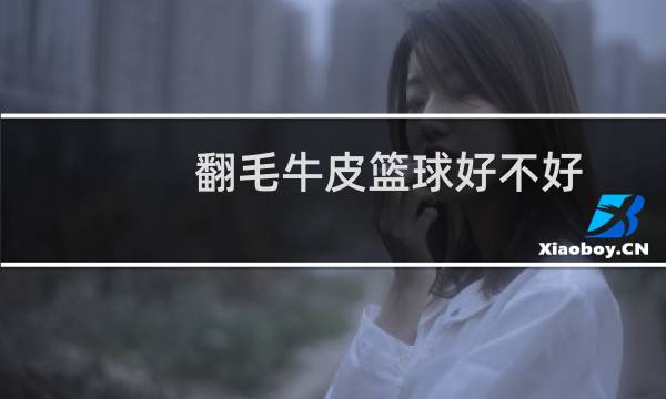 翻毛牛皮篮球好不好图片