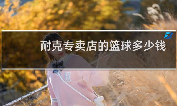 耐克专卖店的篮球多少钱图片