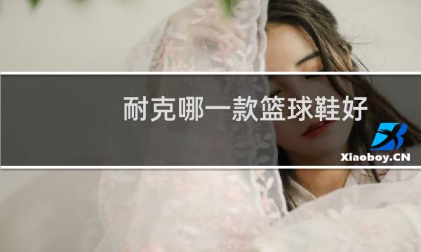 耐克哪一款篮球鞋好图片