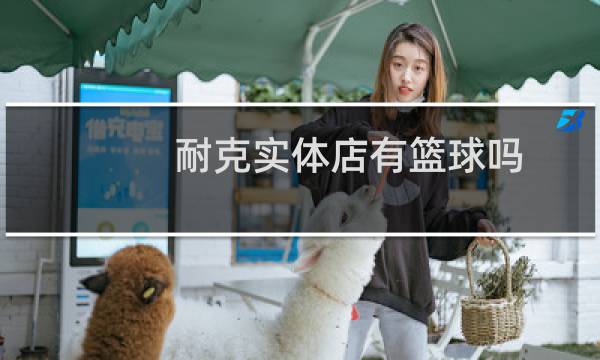 耐克实体店有篮球吗图片