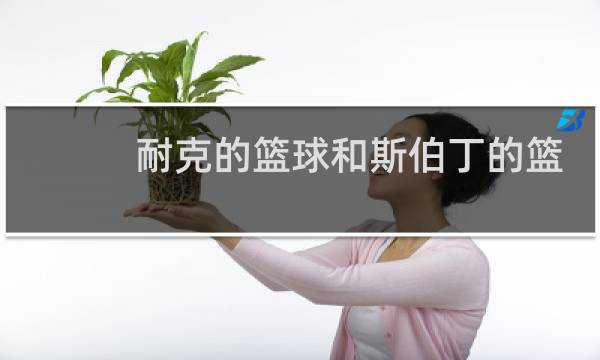 耐克的篮球和斯伯丁的篮球谁好图片
