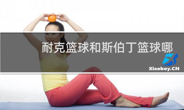 耐克篮球和斯伯丁篮球哪个好图片
