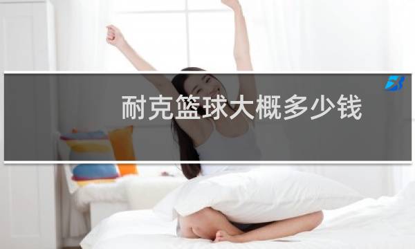耐克篮球大概多少钱图片