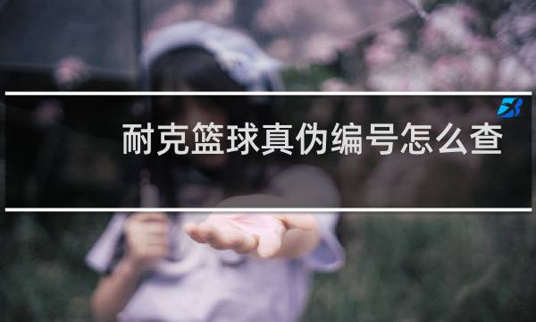 耐克篮球真伪编号怎么查图片