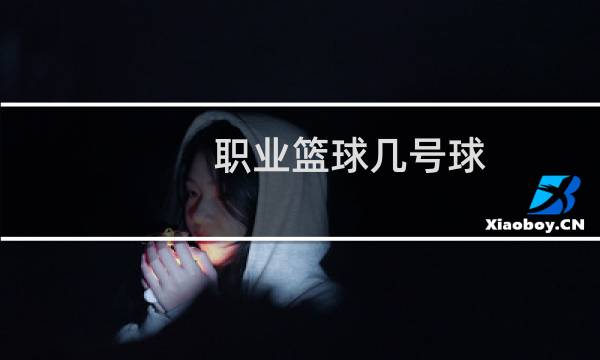 职业篮球几号球图片