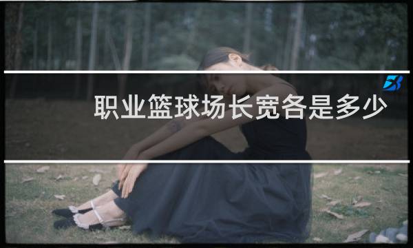 职业篮球场长宽各是多少图片
