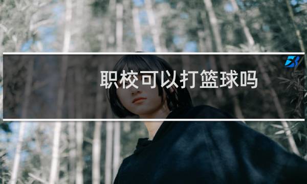 职校可以打篮球吗图片