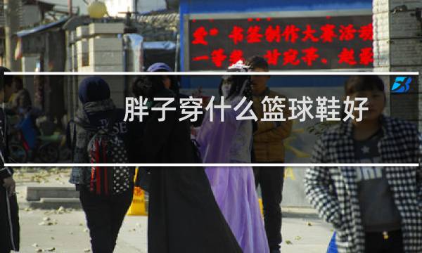 胖子穿什么篮球鞋好图片