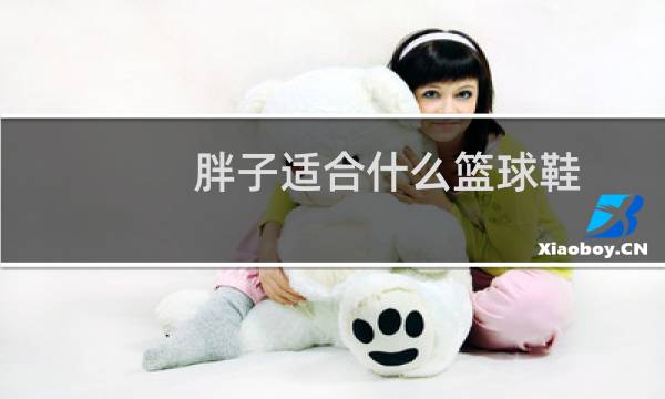 胖子适合什么篮球鞋图片