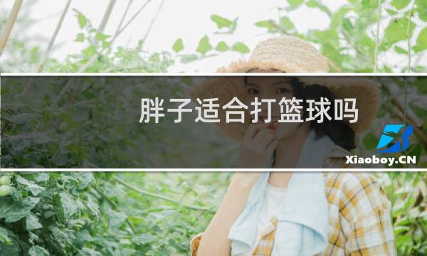 胖子适合打篮球吗图片
