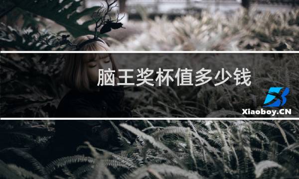 脑王奖杯值多少钱图片