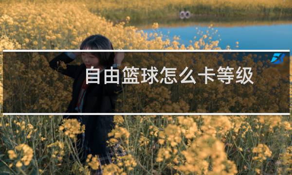 自由篮球怎么卡等级图片