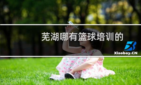 芜湖哪有篮球培训的图片