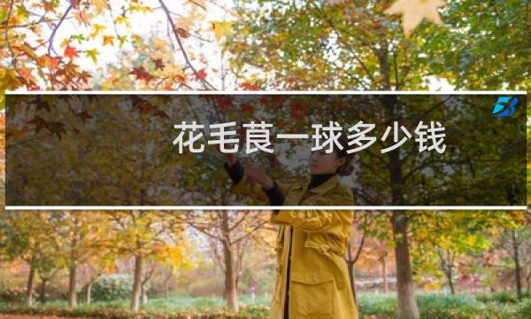 花毛茛一球多少钱图片