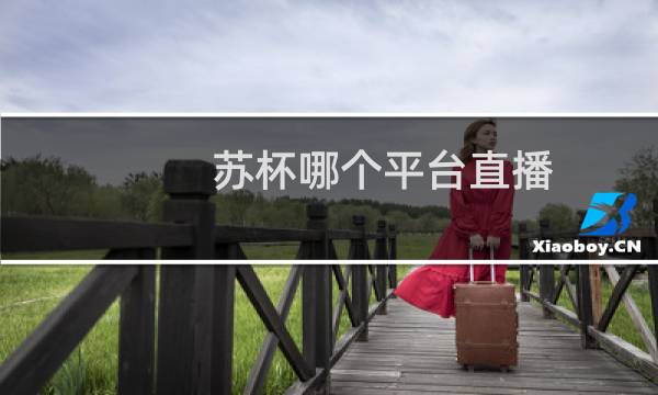 苏杯哪个平台直播图片